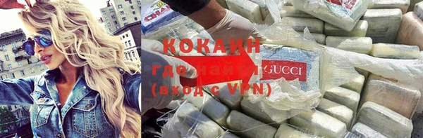 твердый Алзамай