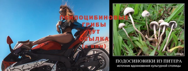твердый Алзамай