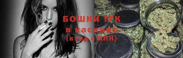 молекула духа Алексеевка