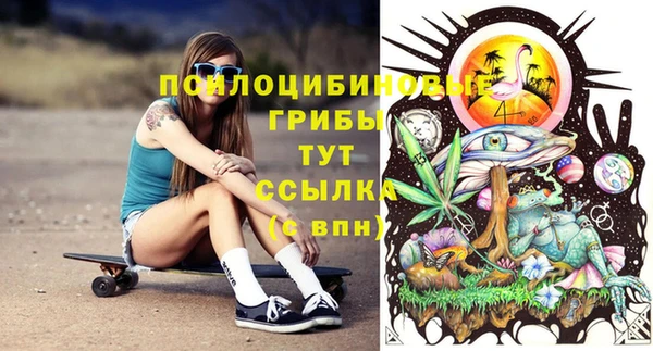 амфетамин Алексин